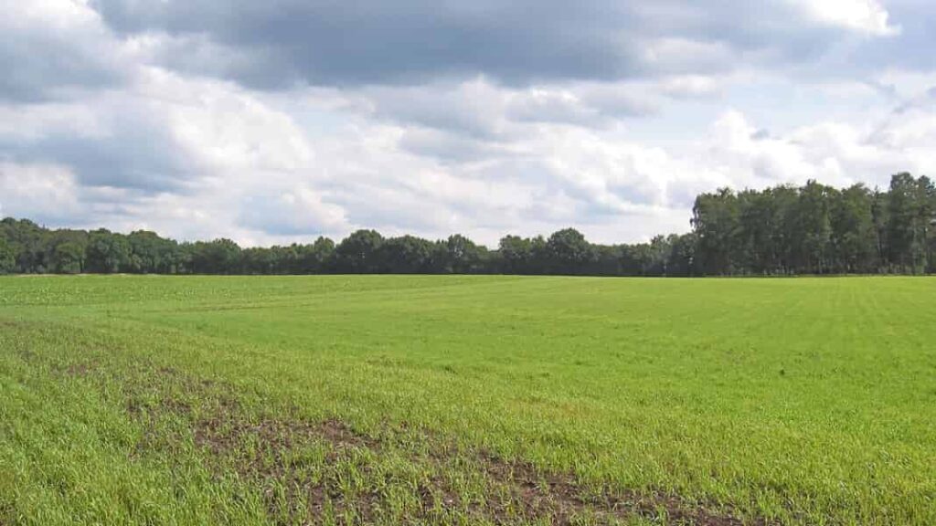 Tekstschrijver-Best-Wilma-Vervoort-Correspondent-Eindhovens-Dagblad-bouwkavels Seinheuvel