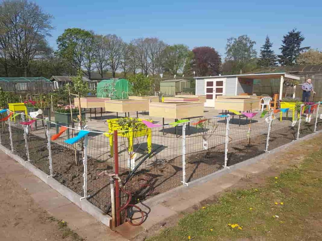 Tekstschrijver-Best-Wilma-Vervoort-Correspondent-Eindhovens-Dagblad-Krasse Knarren