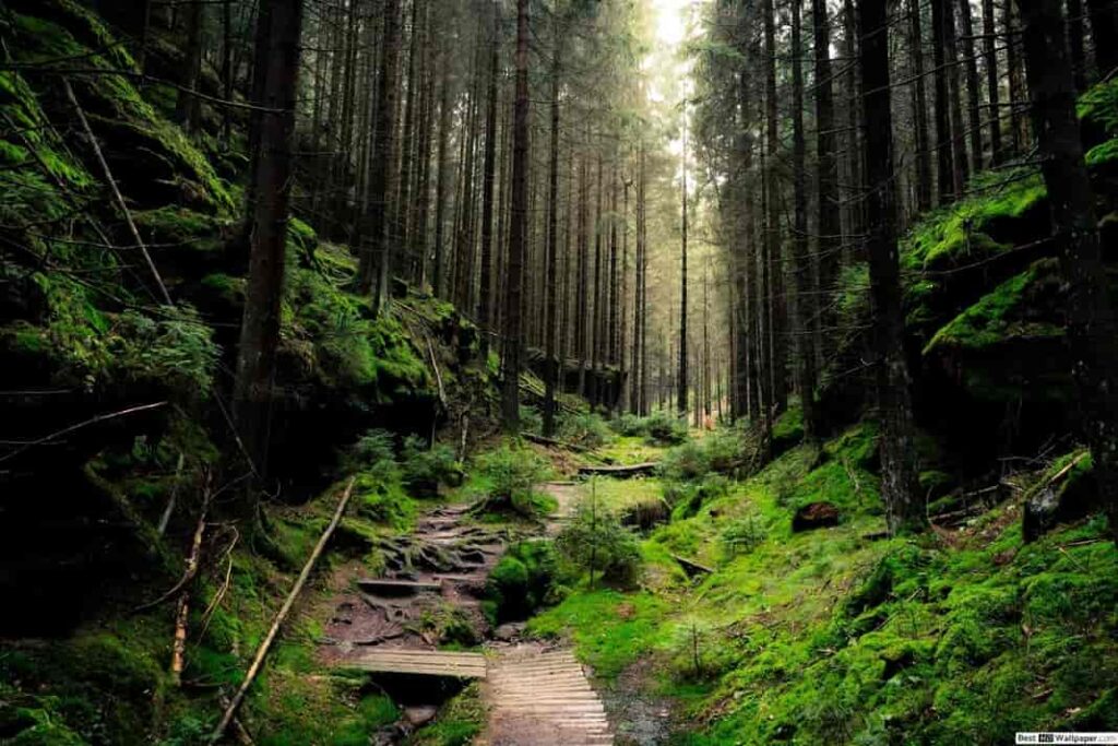 wilma vervoort-tekstschrijver-content schrijven-corona is echt