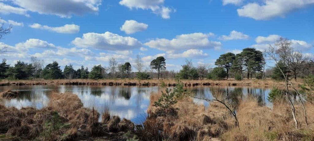 InAndOutOfAfrica-Menopause Nomad-Wilma Vervoort-Tekstschrijver-Power of the pen-Menopause Magician-Interactive Acts-rob en ellen faessen