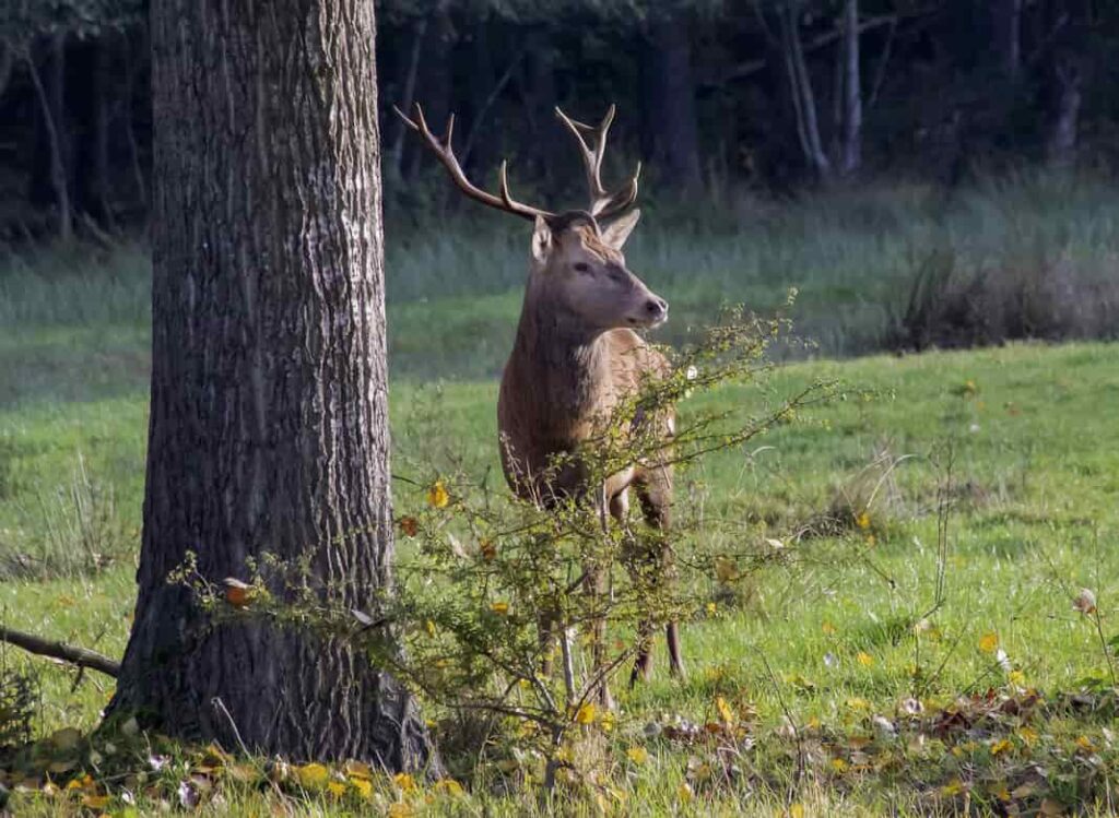 InAndOutOfAfrica-Menopause Nomad-Wilma Vervoort-Tekstschrijver-Power of the pen-Menopause Magician-Interactive Acts-Lou van der Aa 1