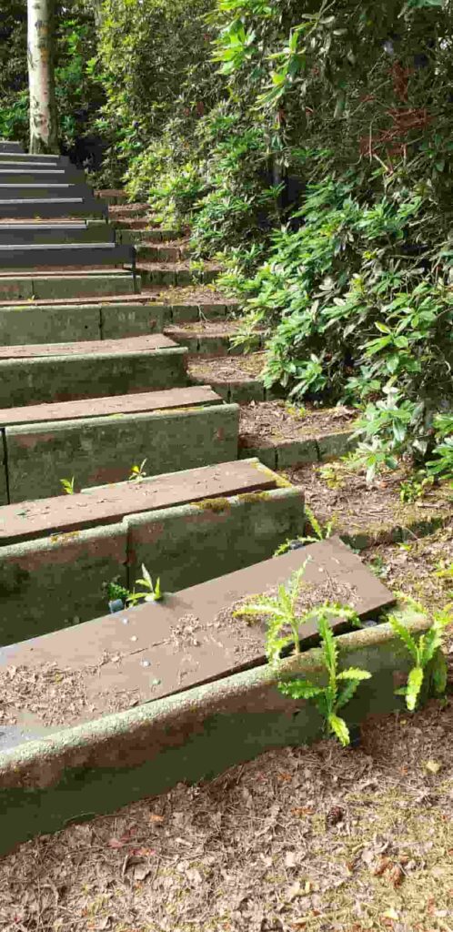 InAndOutOfAfrica-Menopause Nomad-Wilma Vervoort-Tekstschrijver-Power of the pen-Menopause Magician-Interactive Acts-joe-mann-natuurtheater-best-1