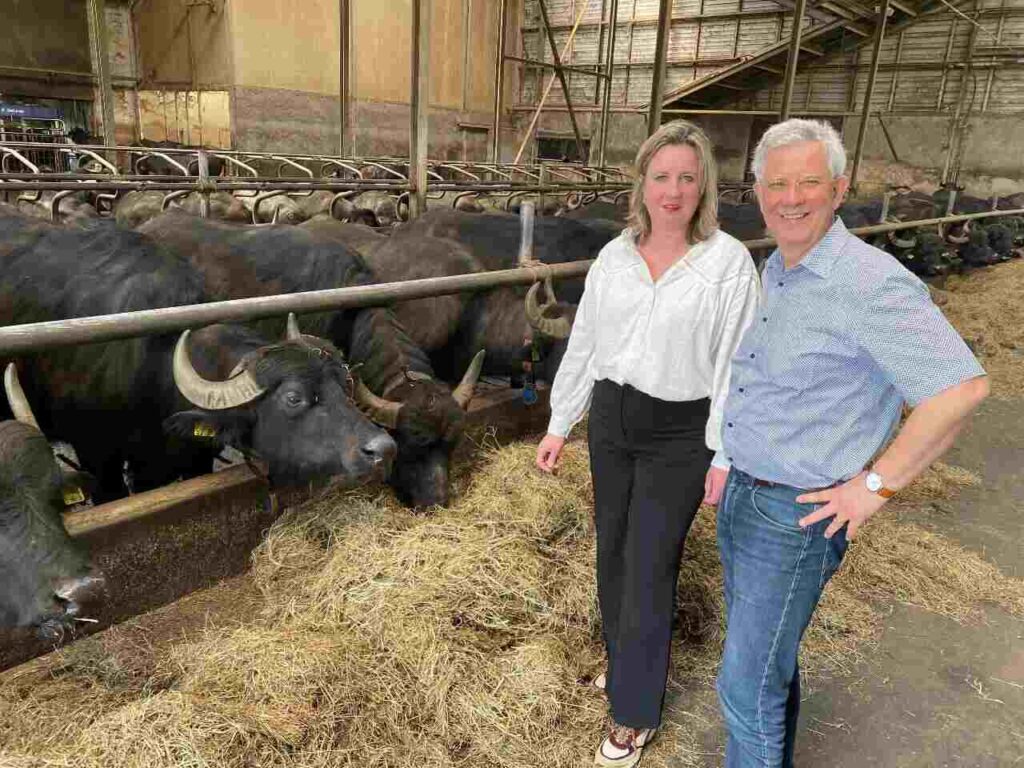 d'n buff best voedsel